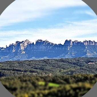 Josep Lluis Fornell Sanchez