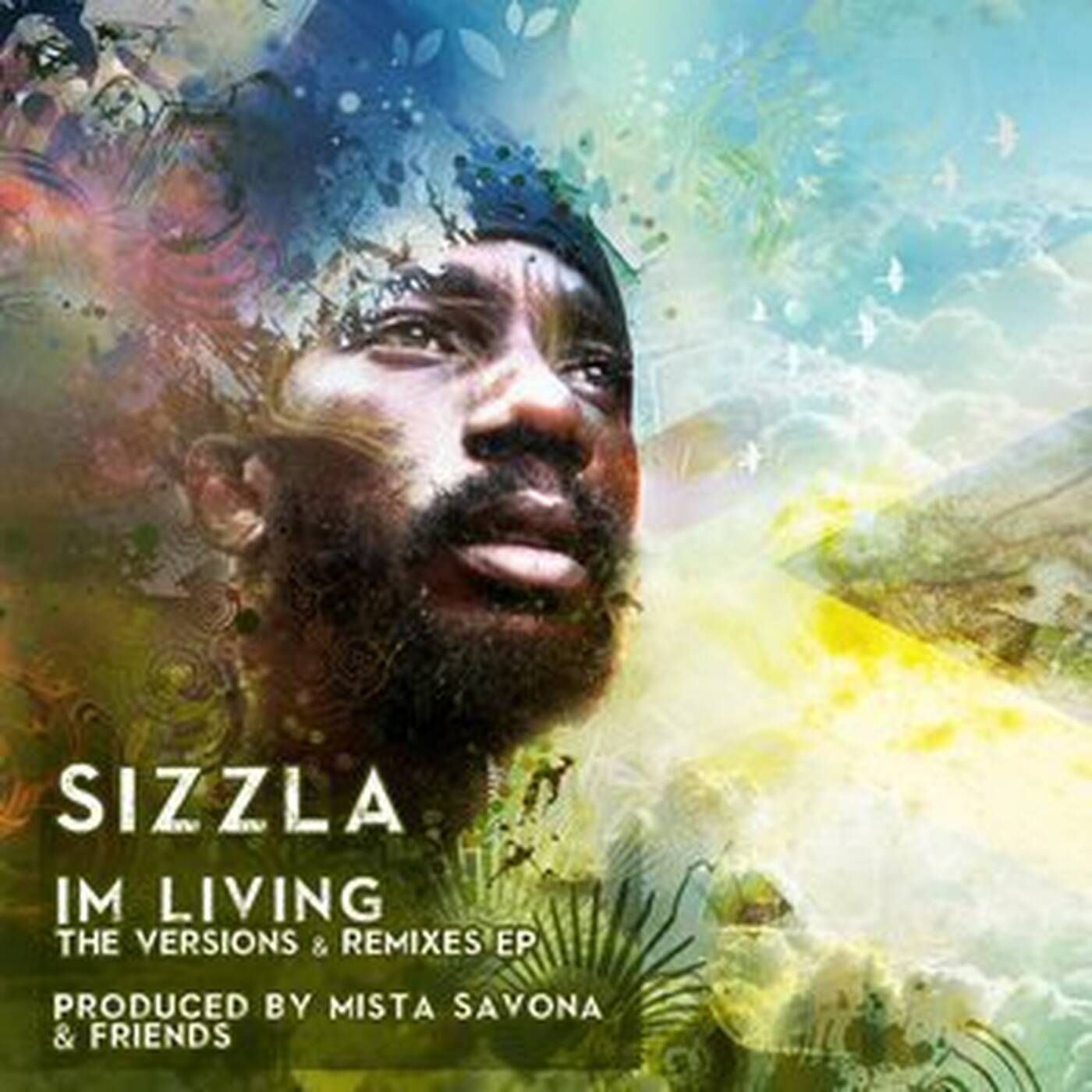 A Living Riddim Megamix episode artwork