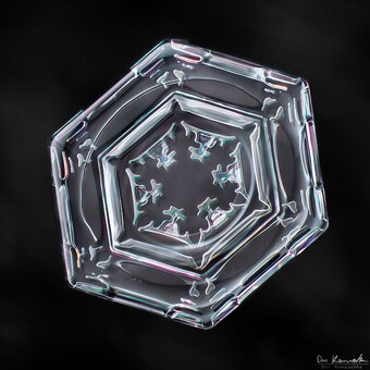 Tystix [South Africa]