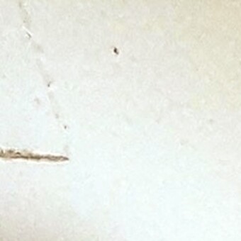 @𝗗eejay 𝗕𝗹𝗶𝘇𝘇