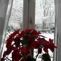 Prélude pour un soir de neige by Gérard Delassus