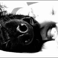 #WelleOneLove - Together (High Tide Or Low Tide)[progoak13] by Progolog Adventskalender [progoak21]