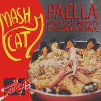 MashCat - Paella 2012 (Continuous Mix) by MashCat