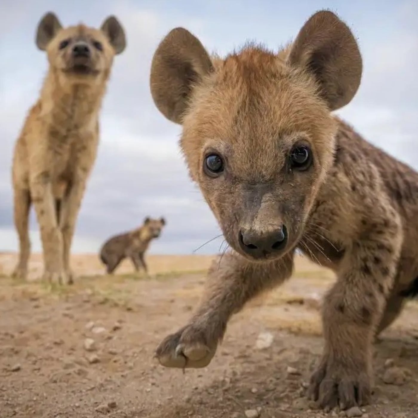 The Deep House Cave by Dj TuXxL (Univers DJ)