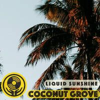 Worldly Highlights 2021 - Coconut Grove with Liquid Sunshine @ The Face Radio - Show #87 Part 1 21-12-2021 by Liquid Sunshine