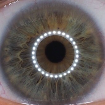 Andr&eacute; Wie Du Wild