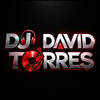 David Torres Garcia