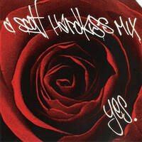 Scott Hardkiss: Yes (1996) by 5 Magazine