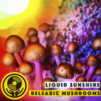 Show #66 - Belearic Mushroom Grooves - Liquid Sunshine @ The Face Radio - 28-07-2021 by Liquid Sunshine