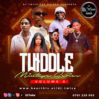 DJ TWICE THE RAIDER-TWIDDLE VOL 6 by dj twice