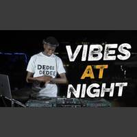 Vibes At Night With Selector Dedee 1st Edition by Haniel