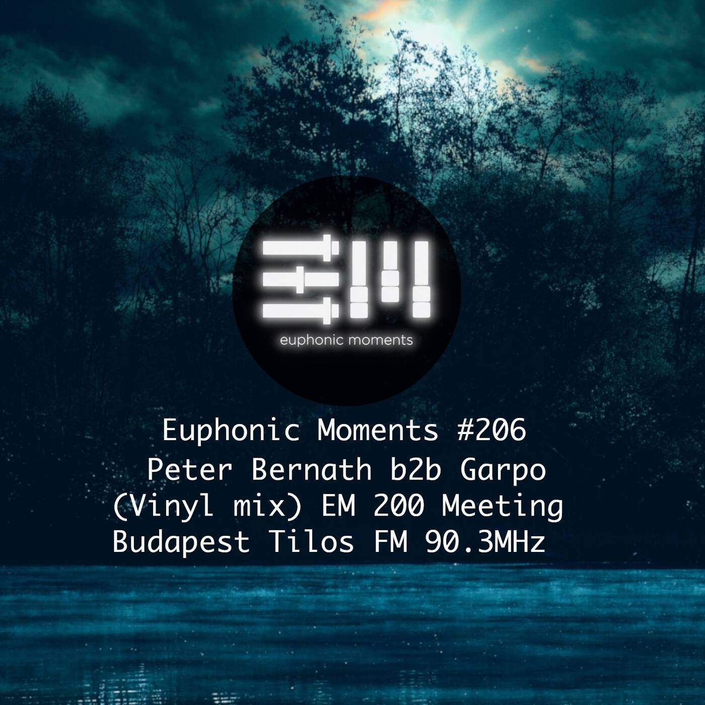 Euphonic Moments # 205 Peter Bernath b2b Garpo (Vinyl mix) EM 200 Meeting episode artwork