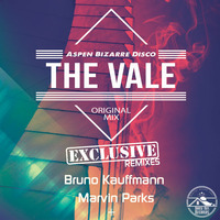 HRR135 - Aspen Bizarre Disco - The Vale (Marvin Parks Remix) by House Rox Records