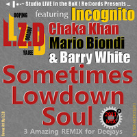 L.Z.D Feat. Incognito Chaka Khan Mario Biondi & Barry White - Sometimes Lowdown Soul