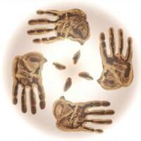 Rodna Cesta - 2014-09-16 O identite slovanov a európskom dianí by Slobodný Vysielač