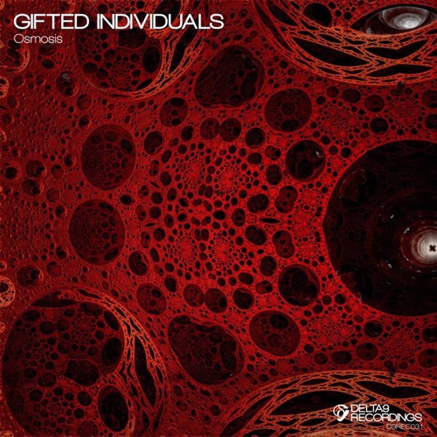 Gifted Individuals - Sound a Lead - [D9REC031] episode artwork