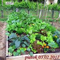 Riešenia a alternatívy 05 - 2017-02-03 Prírodné jedlé záhrady by Slobodný Vysielač