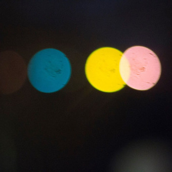 Максим Сергеевич Шишов