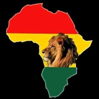 Zion Train Sounds Entertainment