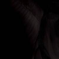 Fallen by Eidolon Ethos