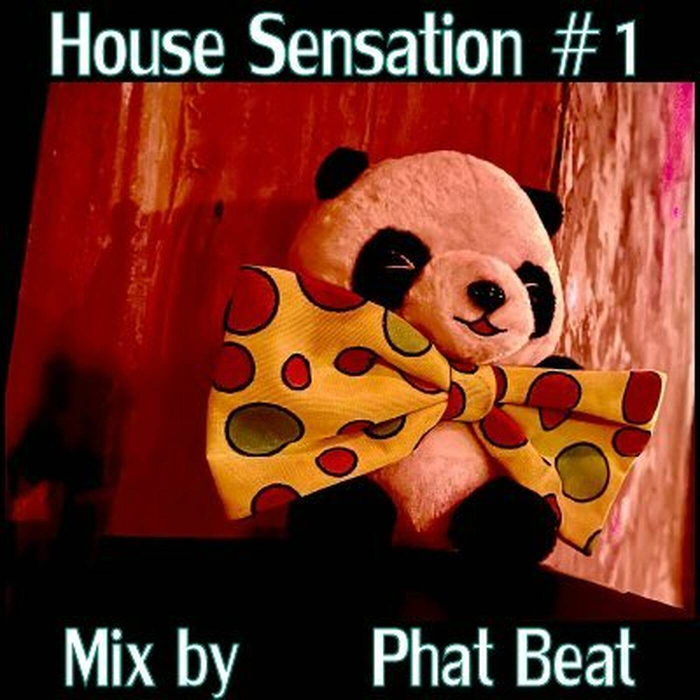 House Sensation #1 Juli 2025 Mix by Phat Beat episode artwork