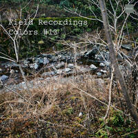 Field Recordings | Colors #13 by PG3A