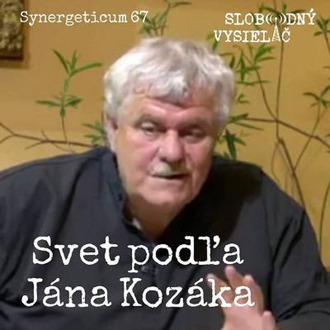 Synergeticum 67 - 2018-07-10 s Mgr. Jánom Kozákom episode artwork