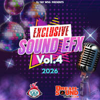 Sound Effects 2026 - DJ Tay Wsg - Sound EFX 4 by Dream-Sound Media
