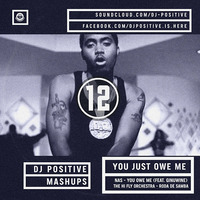 Nas feat. Ginuwine VS The Hi Fly Orchestra - Just Say I Wanna Know (DJ Positive Mashup) by Dj Positive