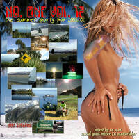 DJ AM No. One 12 by Mixkatalog