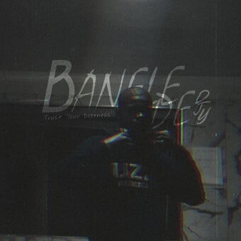 BaneleDeDjy