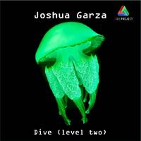 Joshua Garza - Dive (level two) by Joshua Garza