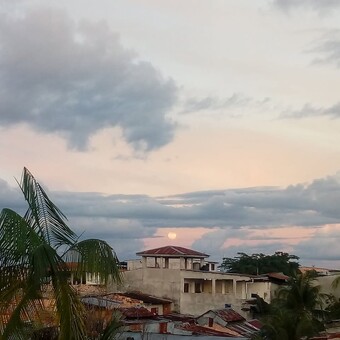 Vio Viamqui