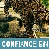 confiance_en_soi_nidra_Extrait by Philippe Eveilleau