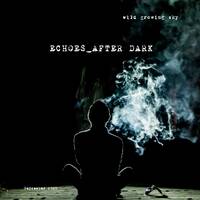 Echoes | After Dark by wild growing sky