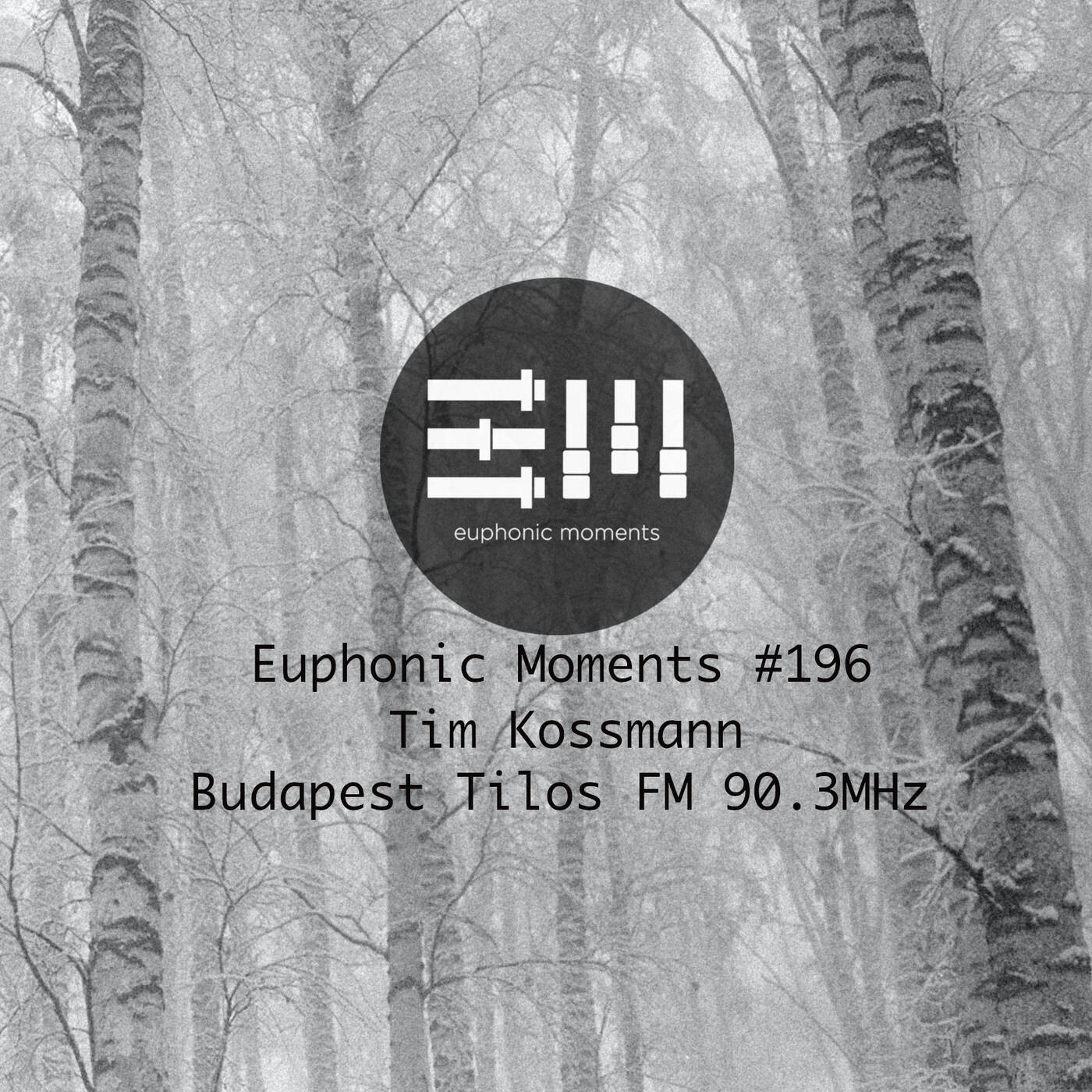 Euphonic Moments # 196 Tim Kossmann episode artwork