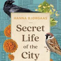 Secret Life of the City by EnglishBooks