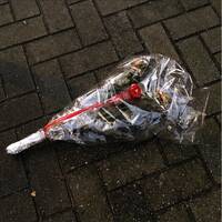 I Should Be Studying But.... by rue14n14