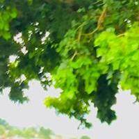 Changes_-_Natorchamp_-_x_-_Stalgic_-_MusiQ by Natorchamp