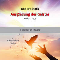 4 Die Ausgießung des Geistes by Lighthouse21