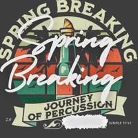 SPRING BREAKING 2.0 by Simple Tune