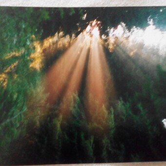 Milan J&aacute;n Ťapaj