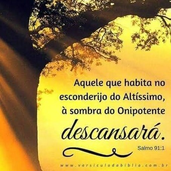 Alex Francisco De Bodas Bodas