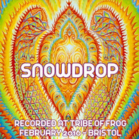 Snowdrop - Recorded at Tribe of Frog February 2016 by snowdrop