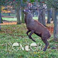 NUMblog - 12ender [progoak12] by Progolog Adventskalender [progoak21]