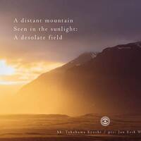 Scott Lawlor - Seen in the sunlight (Naviarhaiku 154) by Naviar Records