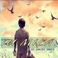 Tu Mila (Future Bass) - Dj Sanjay Remix by Znas Music