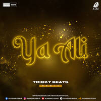 Yaa Aali (2023 Remix) - Tricky Beats by All Indian DJs Drive