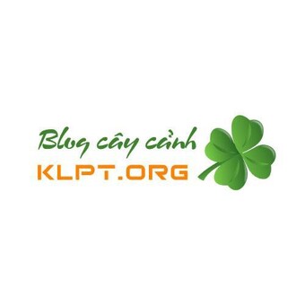 klptblog