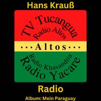 Radio by Hans Krauß